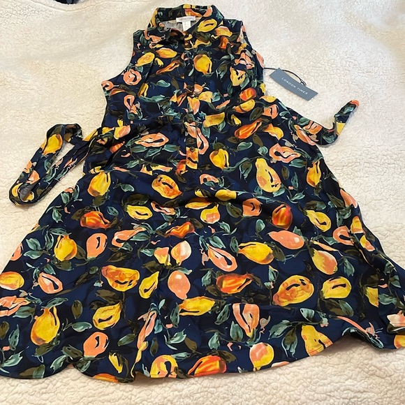 London Times Dresses & Skirts - London Times Linen Lemon Printed Sleeveless Full Dress Size 10 NWT